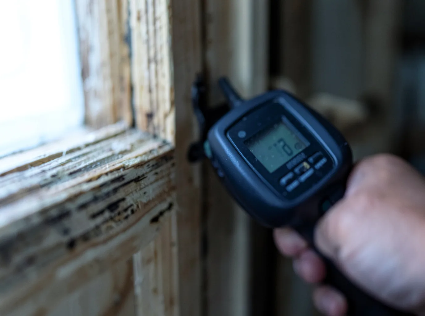 Moisture Inspection And Documentation in Alvarado, TX